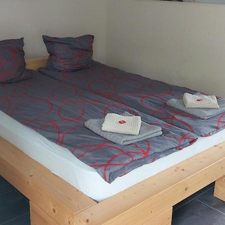 Hotel Belp Bern Airport Free Parking Екстериор снимка
