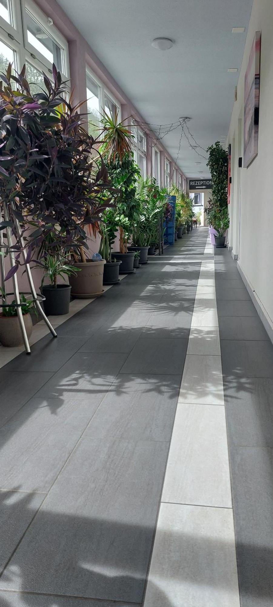 Hotel Belp Bern Airport Free Parking Екстериор снимка