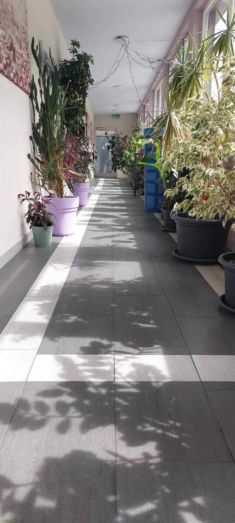 Hotel Belp Bern Airport Free Parking Екстериор снимка